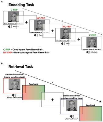 Aging effects on the encoding/retrieval flip in associative memory: fMRI evidence from incidental contingency learning